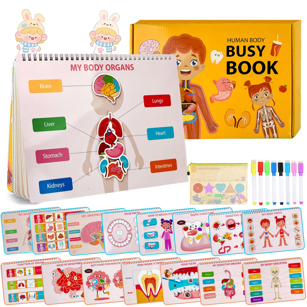 My First Human Body Anatomy Busy Book – Preschool Learning Toy for Kids 3+