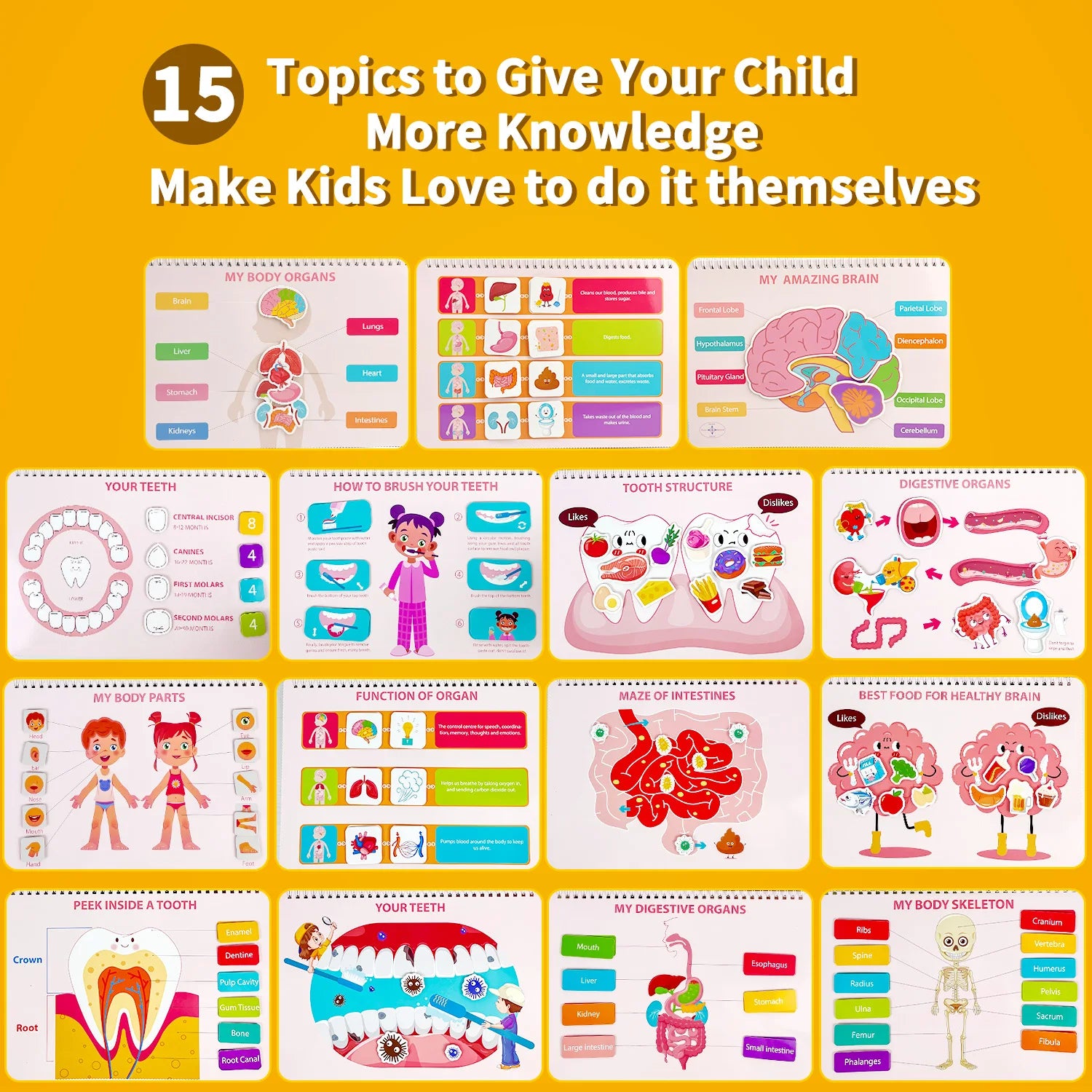 My First Human Body Anatomy Busy Book – Preschool Learning Toy for Kids 3+