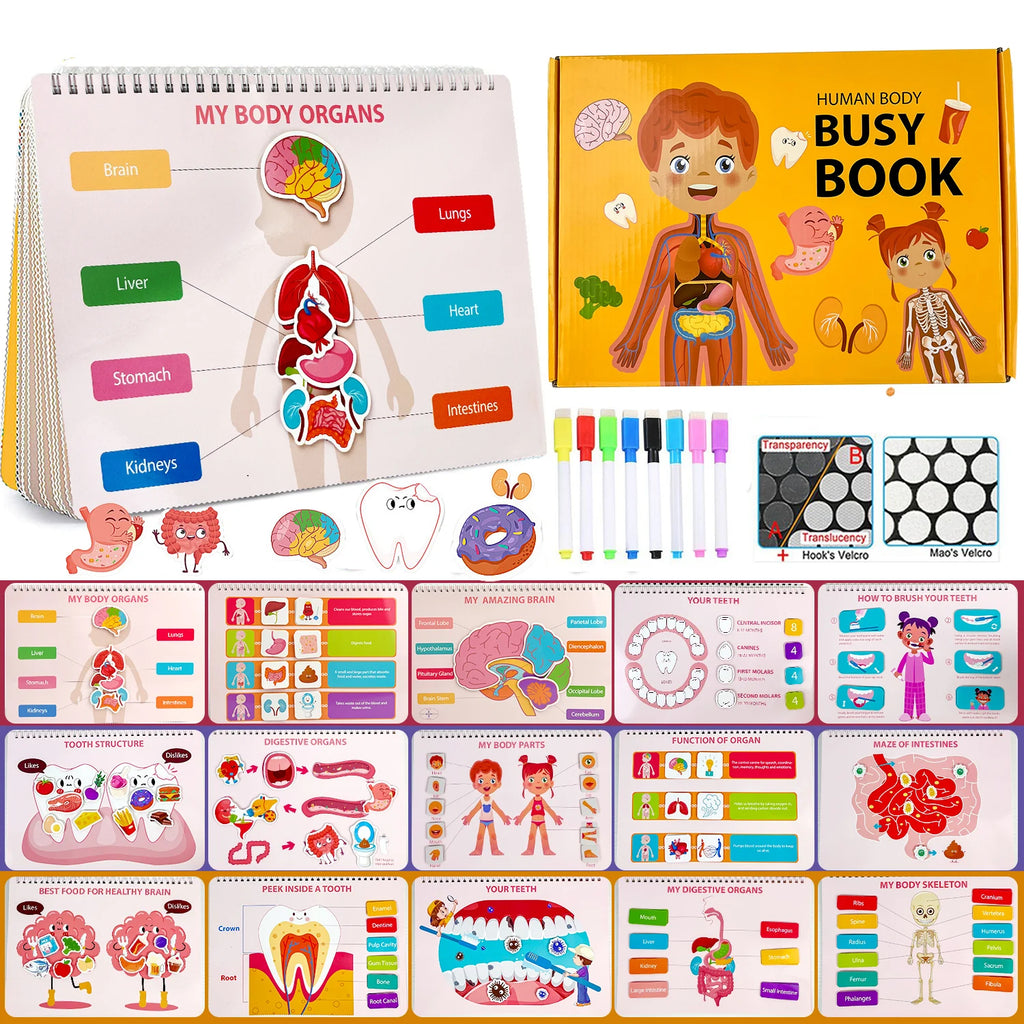 My First Human Body Anatomy Busy Book – Preschool Learning Toy for Kids 3+