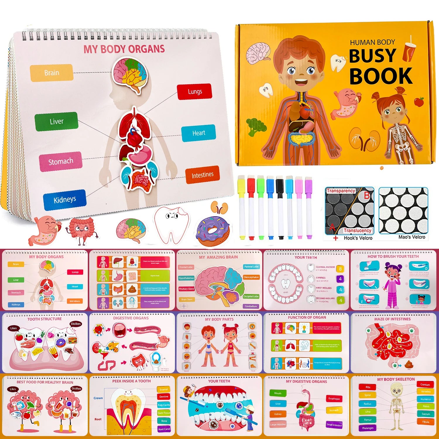 My First Human Body Anatomy Busy Book – Preschool Learning Toy for Kids 3+